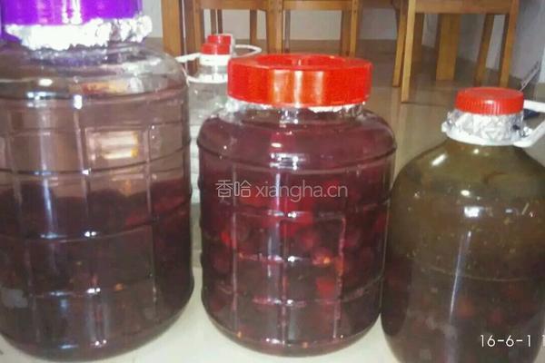 杨梅酒的做法图解6