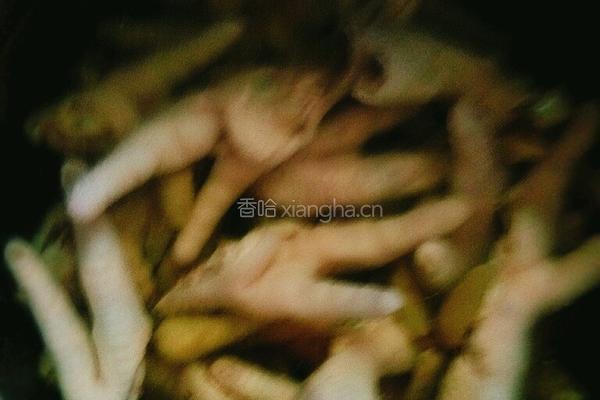 泡椒鸡爪的做法图解10