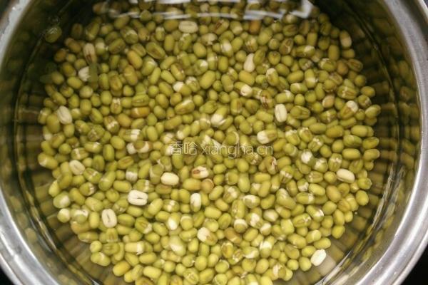 自制绿豆棒冰的做法图解3
