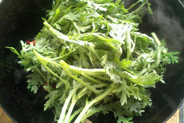 茼蒿炒肉的做法图解4