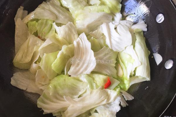 辣炒圆白菜的做法图解4