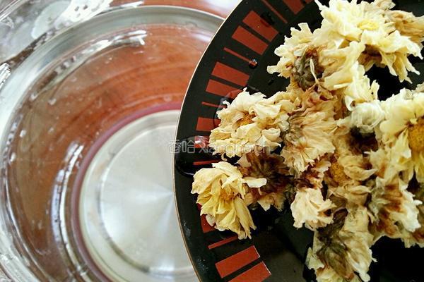 雪梨菊花茶的做法图解5