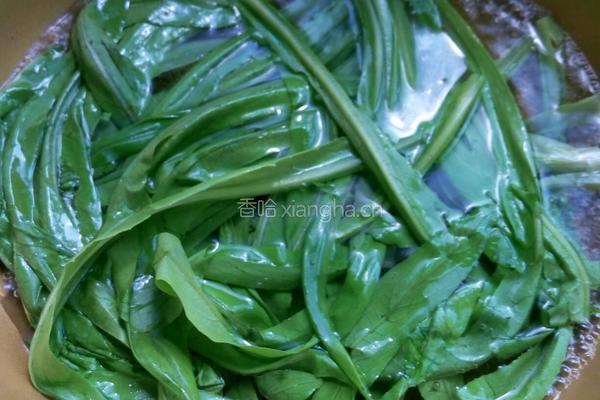 白灼油麦菜的做法图解3