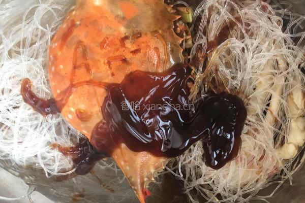 螃蟹粉丝煲的做法图解12