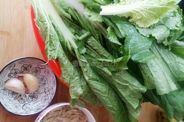 耗油虾米小白菜的做法图解1