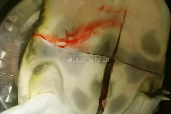 清蒸甲鱼的做法图解3
