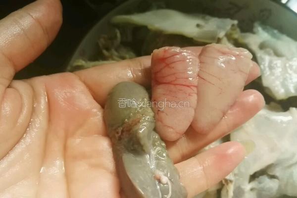 清蒸甲鱼的做法图解8