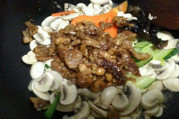 鲜蘑炒肉片的做法图解15