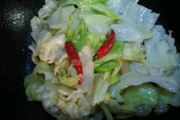 酸辣洋白菜的做法图解5