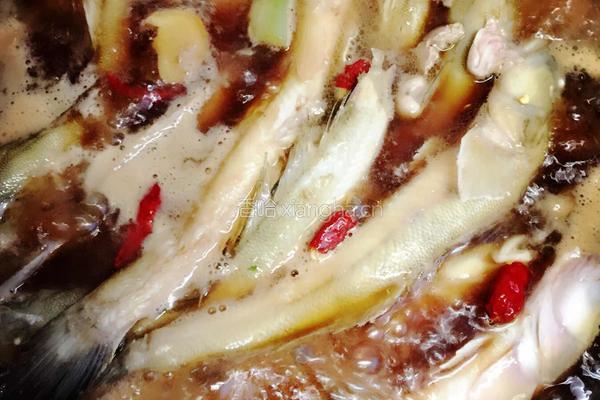 鲶鱼盖豆角的做法图解5