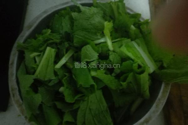 清炒小白菜的做法图解1