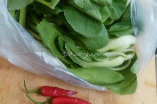 清炒油白菜的做法图解1