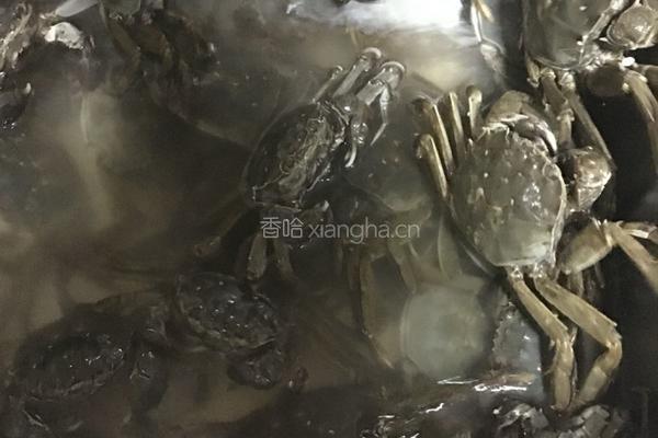 卤河蟹的做法图解2