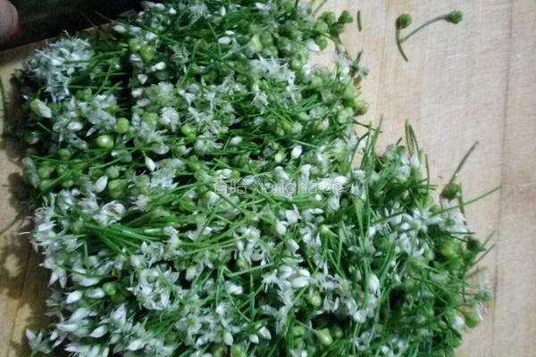 花生米韭菜花的做法图解5