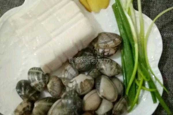 豆腐花蛤汤的做法图解1
