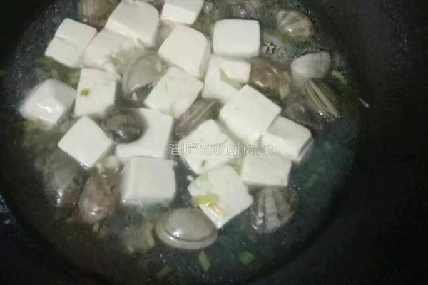 豆腐花蛤汤的做法图解6