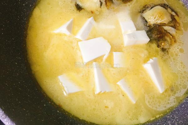 鲢鱼头炖豆腐的做法图解10