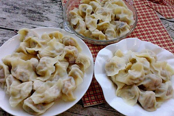 胡萝卜猪肉饺子的做法图解16