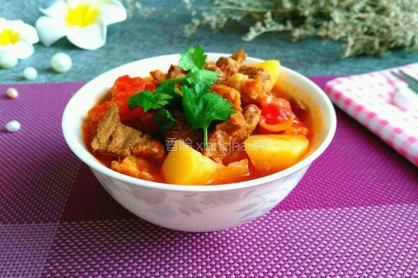 番茄酱土豆烧牛肉的做法图解14