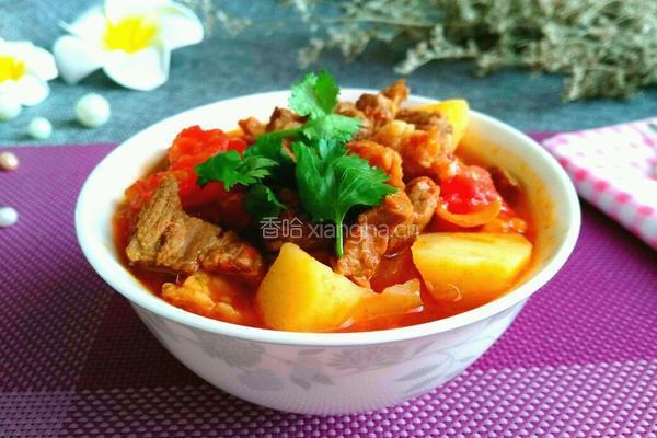 番茄酱土豆烧牛肉的做法图解13