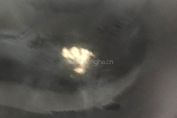姜葱炒螃蟹的做法图解4