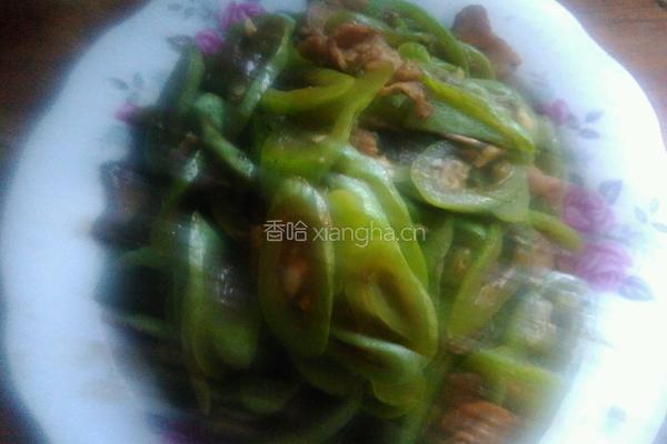 蛇豆