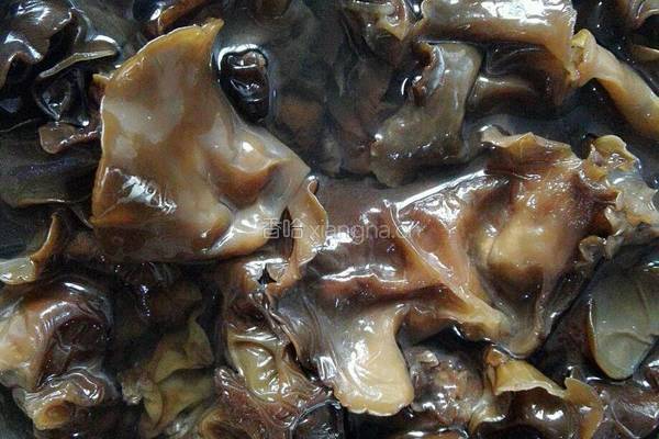 木耳炒黄花的做法图解1
