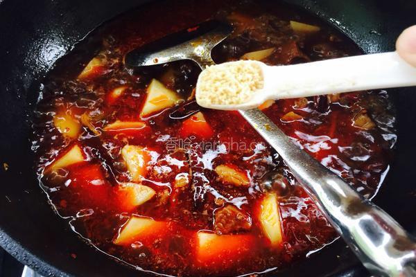 川味土豆炖牛腩的做法图解13