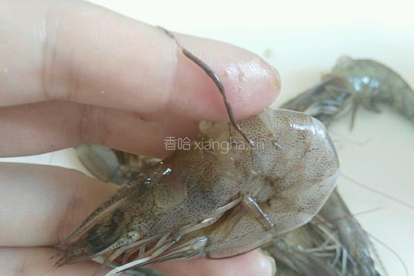 炸虾天妇罗的做法图解2