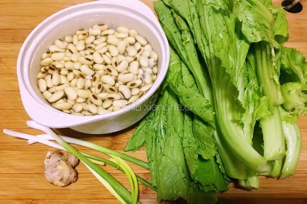 菜豆腐的做法图解1
