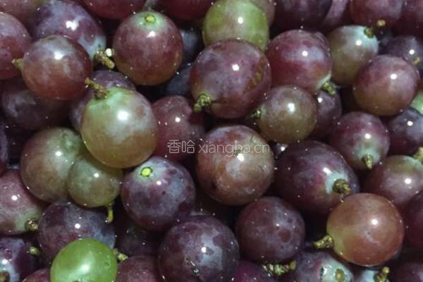 自酿桃红葡萄酒的做法图解5