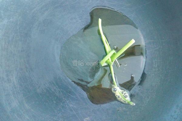 螃蟹烩饭的做法图解5
