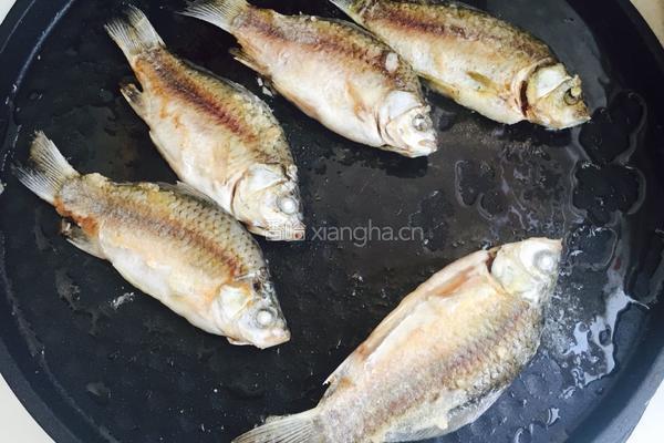 麻辣鲫鱼的做法图解7