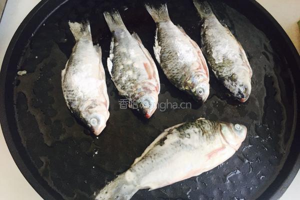 麻辣鲫鱼的做法图解6