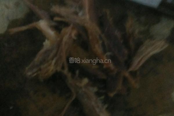 腊肉煲仔饭的做法图解2