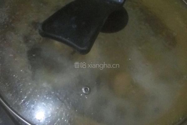 野蘑菇炖鸡的做法图解11