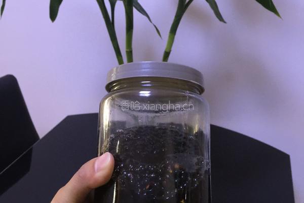 蜂蜜醋泡黑豆的做法图解4