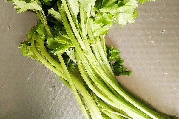 芹菜羊肉水饺的做法图解4