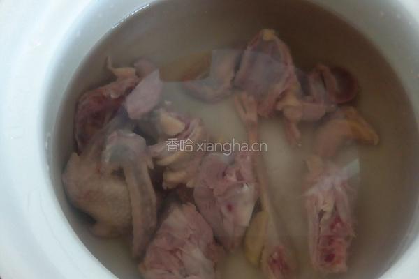 炖鸽子汤的做法图解6