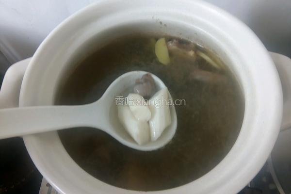 炖鸽子汤的做法图解9