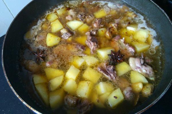 土豆炖鹅肉的做法图解7