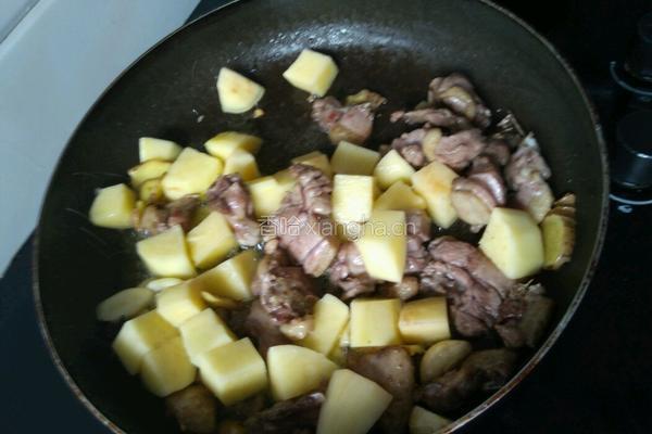 土豆炖鹅肉的做法图解6