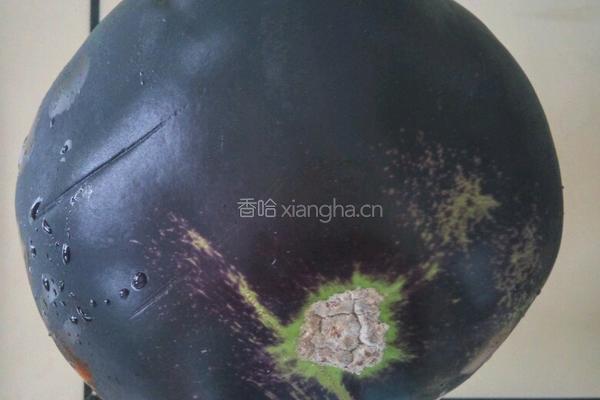 凉拌蒜香茄子的做法图解1