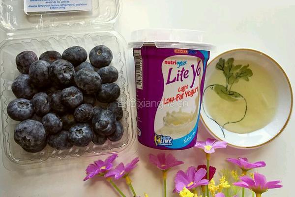 蓝莓蜂蜜奶昔的做法图解1