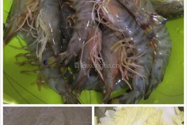 蒜蓉粉丝娃娃菜蒸开边虾的做法图解1