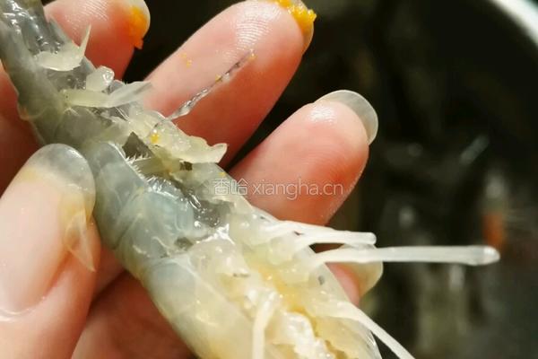 油爆沼虾的做法图解5