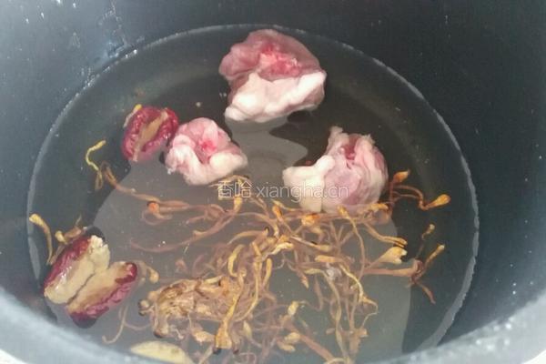 虫草花炖鸭汤的做法图解4