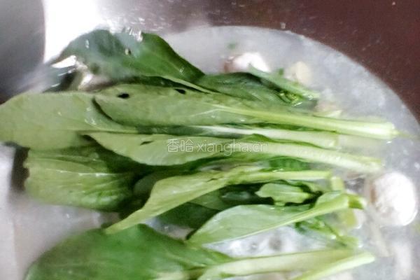 花蛤米粉汤的做法图解5