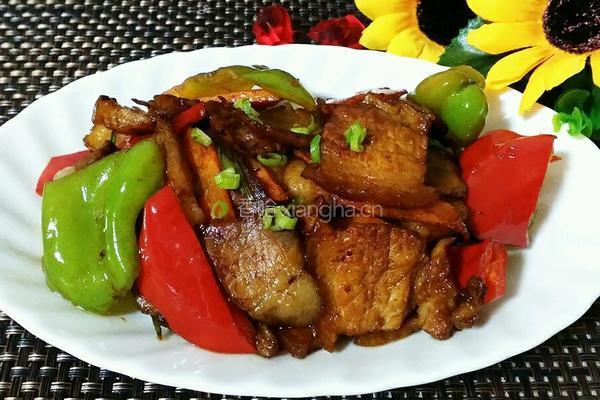 不辣版回锅肉的做法图解17