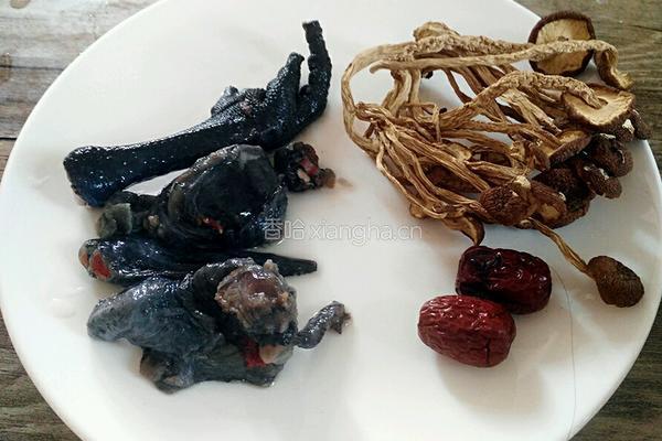 茶树菇炖鸡肉的做法图解1